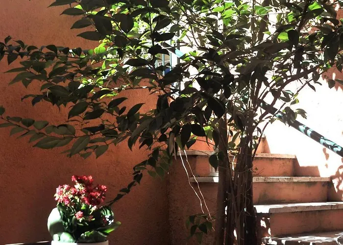 Daire Casa Con Giardinetto Al Centro Di