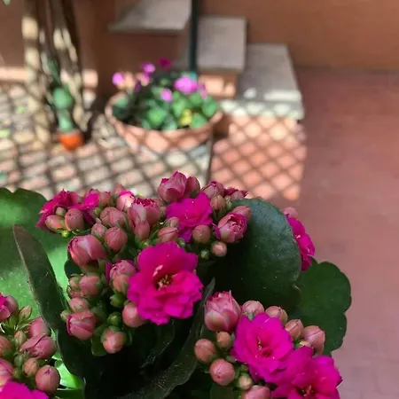 アパート Casa Con Giardinetto Al Centro Di *