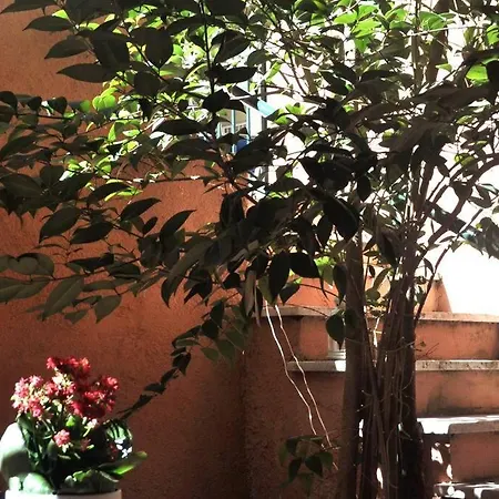 Apartment Casa Con Giardinetto Al Centro Di